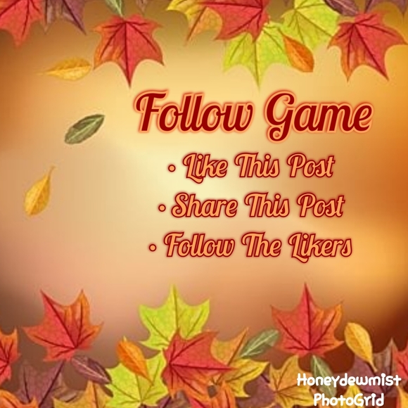 Grow Your Followers 💜 - Picture 4 of 8